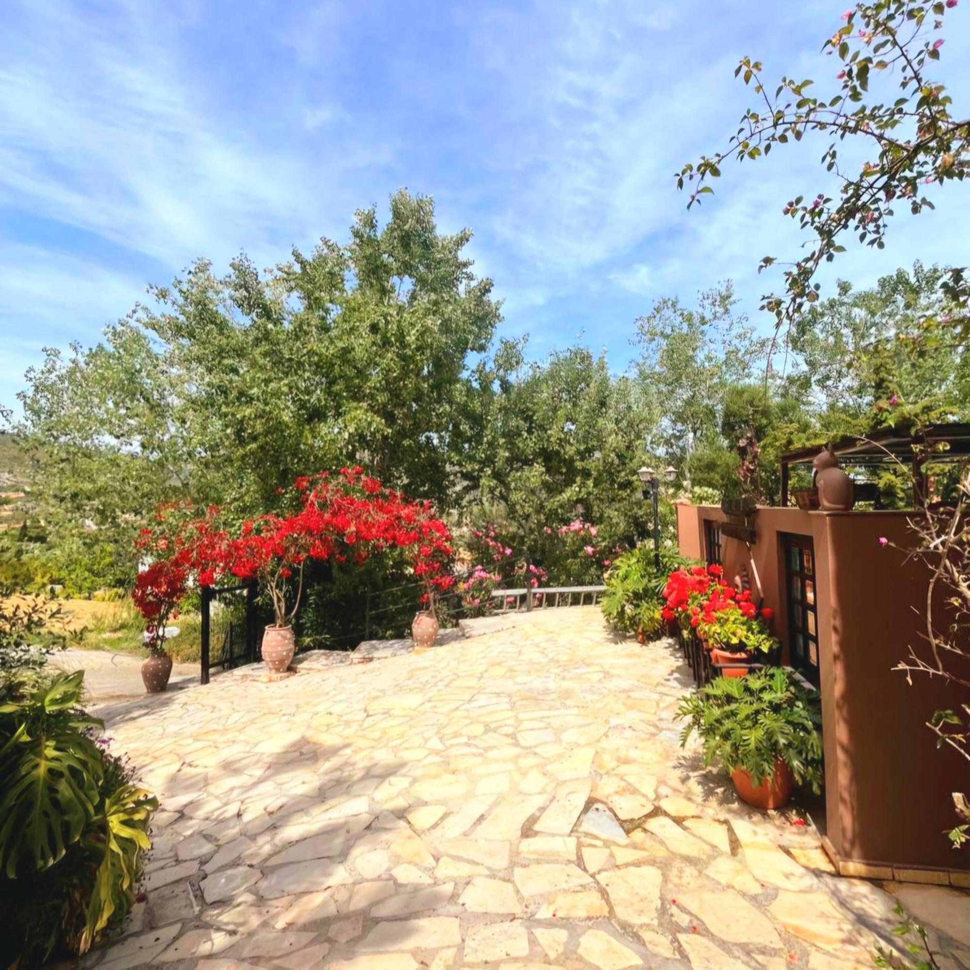 Okeanis Apartments & Suites Adults Only Katelios Exterior photo